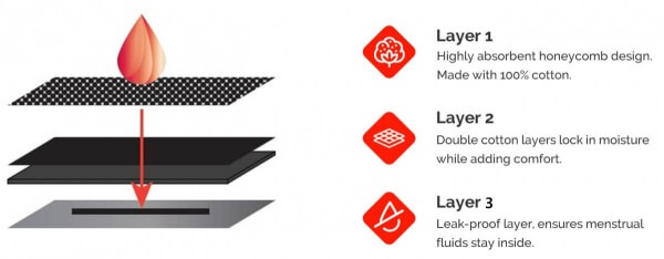 period underwear layers diagram