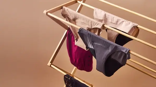 ropa interior del período de secado