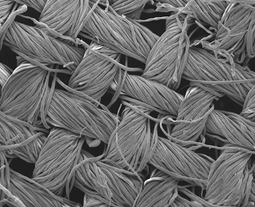alt with moisture wicking fabric close-up